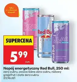 Biedronka NAPÓJ ENERGETYCZNY RED BULL 250 ML oferta