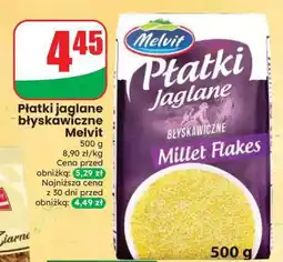 Dino Płatki jaglane błyskawiczne Melvit oferta