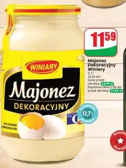 Dino Majonez dekoracyjny WINIARY oferta