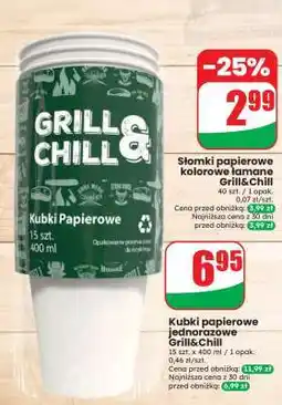 Dino Kubki papierowe jednorazowe Grill & Chill oferta