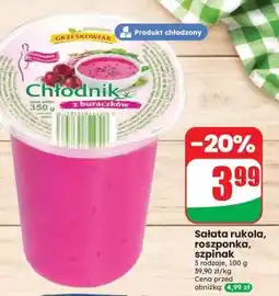 Dino Chłodnik z buraczków oferta