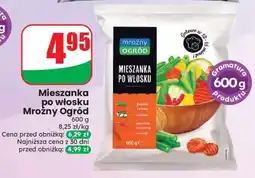 Dino Mieszanka po włosku Mroźny Ogród oferta