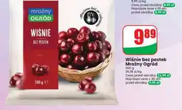 Dino Wiśnie bez pestek Mroźny Ogród oferta