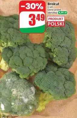 Dino Brokuł oferta