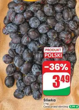 Dino Śliwka oferta