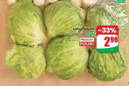 Dino Sałata lodowa oferta