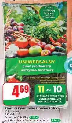 Dino Ziemia kwiatowa uniwersalna oferta