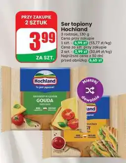 Dino Ser topiony HOCHLAND oferta