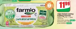 Dino Jaja świeże wolny wybieg Farmio oferta