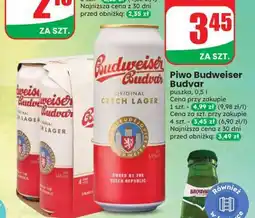 Dino Piwo BUDWEISER BUDVAR oferta