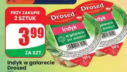 Dino Indyk w galarecie Drosed oferta