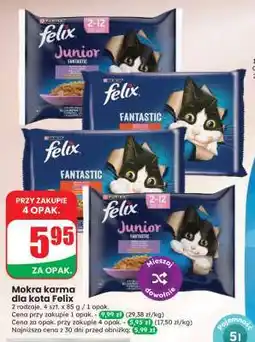 Dino Mokra karma dla kota Felix oferta