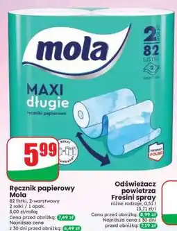Dino Ręcznik papierowy Mola oferta