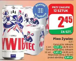 Dino Piwo Żywiec oferta