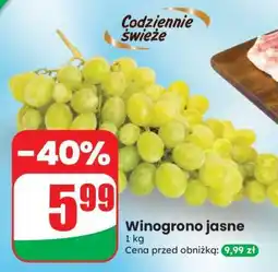 Dino Winogrono jasne oferta