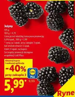 Lidl Jeżyny oferta