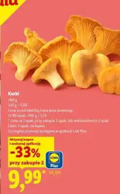 Lidl Kurki oferta