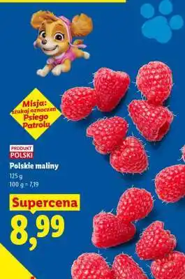 Lidl Polskie maliny oferta