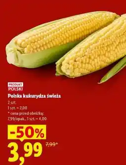 Lidl Polska kukurydza świeża oferta