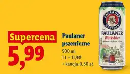 Lidl Paulaner pszeniczne oferta