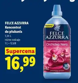 Lidl FELCE AZZURRA Koncentrat do płukania oferta