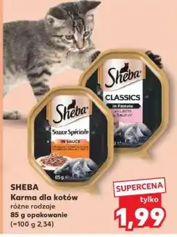 Kaufland SHEBA Karma dla kotów oferta