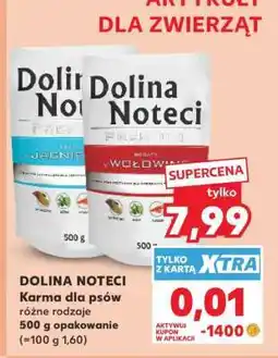 Kaufland Dolina Noteci oferta