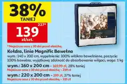 Auchan Kołdra, linia Magnific Bawełna oferta