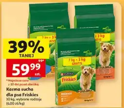 Auchan Karma sucha dla psa, Friskies oferta