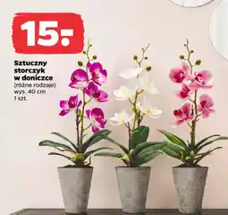 Netto Sztuczny storczyk w doniczce oferta