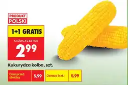Biedronka Kukurydza kolba oferta