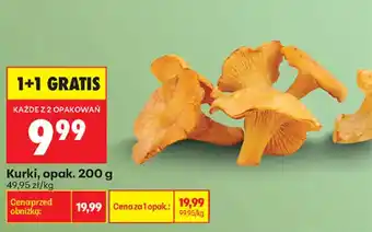 Biedronka Kurki oferta