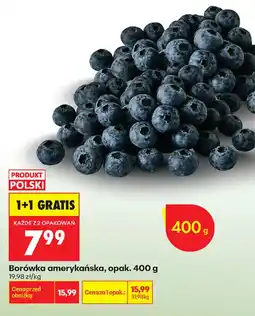 Biedronka Borówka amerykańska oferta