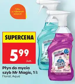 Biedronka Płyn do mycia szyb Mr Magic oferta