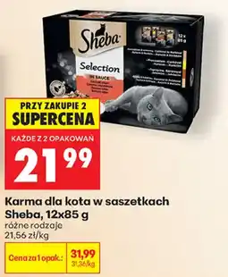 Biedronka Karma dla kota w saszetkach Sheba oferta