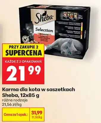 Biedronka Karma dla kota w saszetkach Sheba oferta