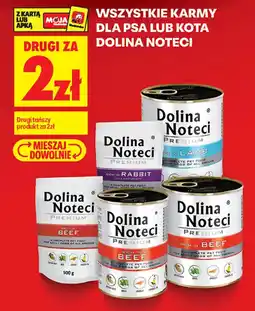 Biedronka Dolina Noteci Premium oferta