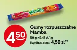 Żabka Gumy rozpuszczalne Mamba oferta