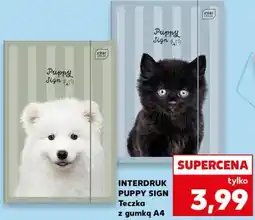 Kaufland INTERDRUK PUPPY SIGN Teczka z gumką A4 oferta