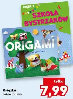 Kaufland Książka, różne rodzaje (np. Origami, Szkoła Bystrzaków) oferta