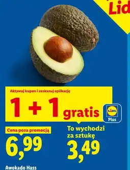 Lidl Ryneczek Lidla Awokado Hass oferta
