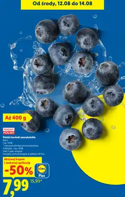 Lidl Polskie borówki amerykańskie oferta