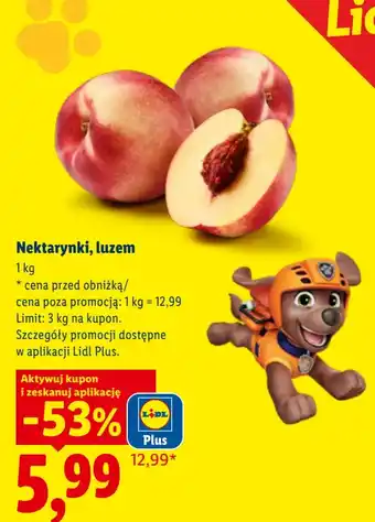Lidl Nektarynki, luzem oferta