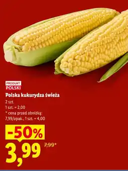 Lidl Polska kukurydza świeża oferta