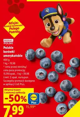 Lidl Polskie borówki amerykańskie oferta
