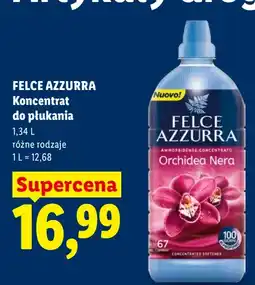 Lidl FELCE AZZURRA Koncentrat do płukania Orchidea Nera oferta