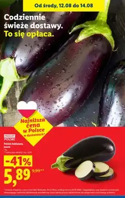 Lidl Bakłażany polskie luzem oferta
