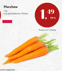 Market Point Marchew polska oferta