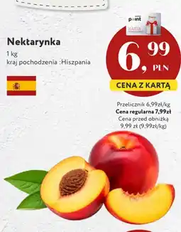 Market Point Nektarynka Hiszpania oferta