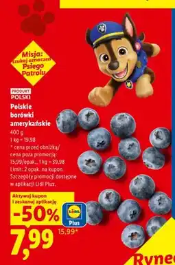 Lidl Polskie borówki amerykańskie oferta